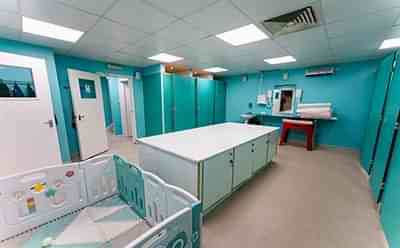 Dolphin Swim -23_400x248