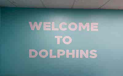 Dolphin Swim -30_400x248