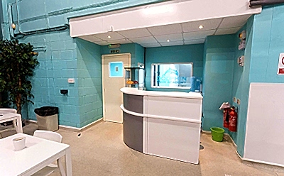 Dolphin Swim -33_400x248