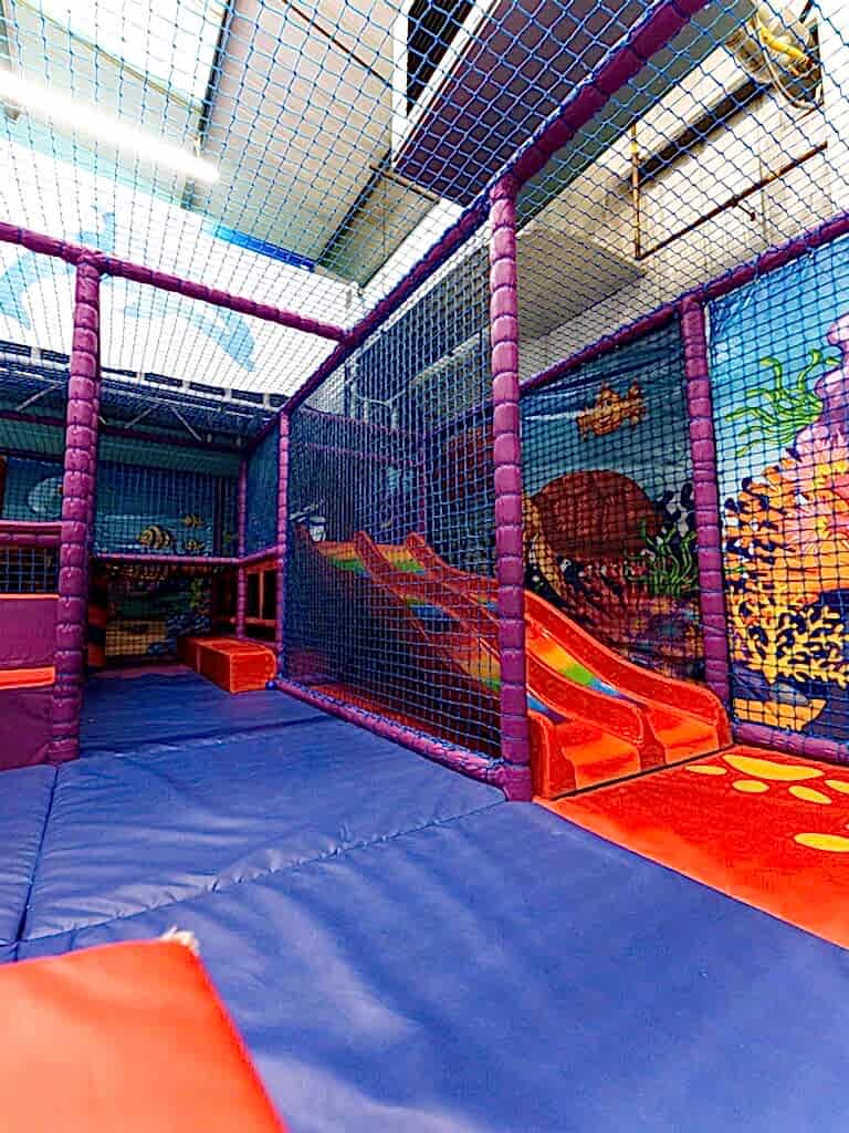 Dolphin Swim -60_1536x2048