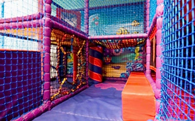 Dolphin Swim -62_400x248