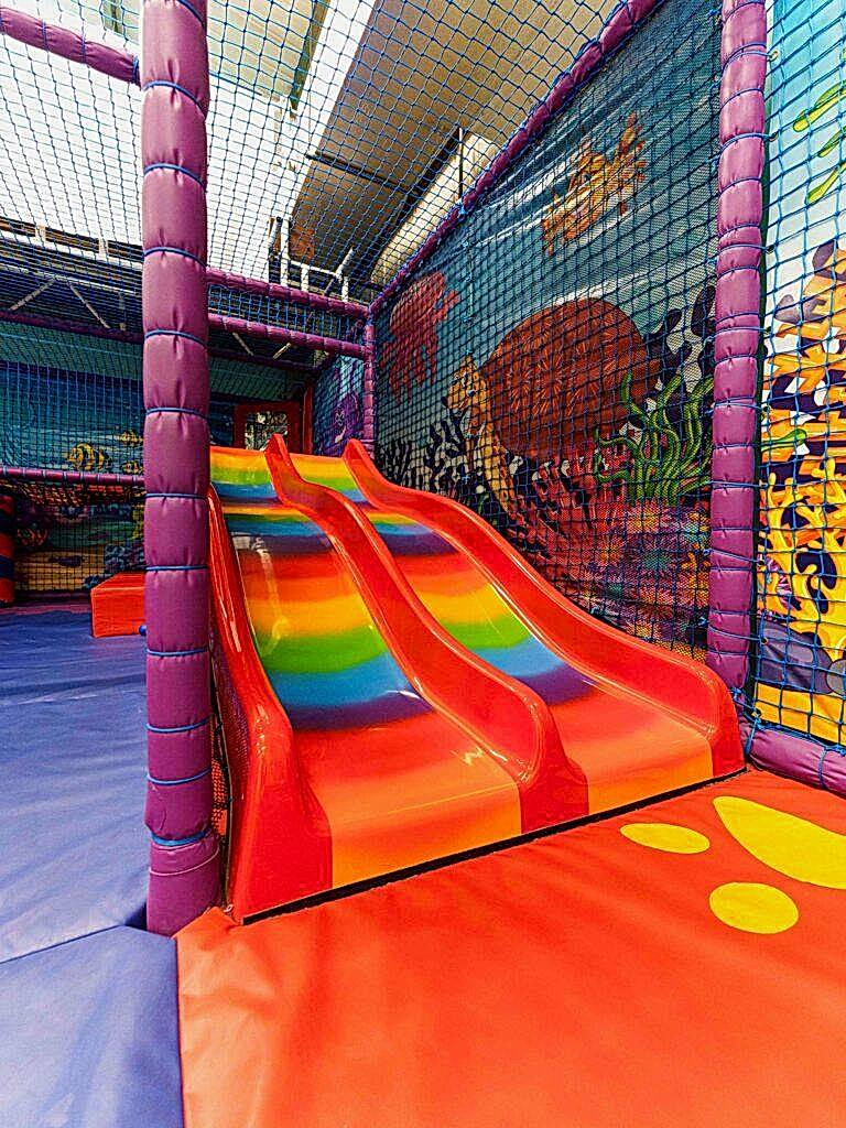 Dolphin Swim -65_1536x2048