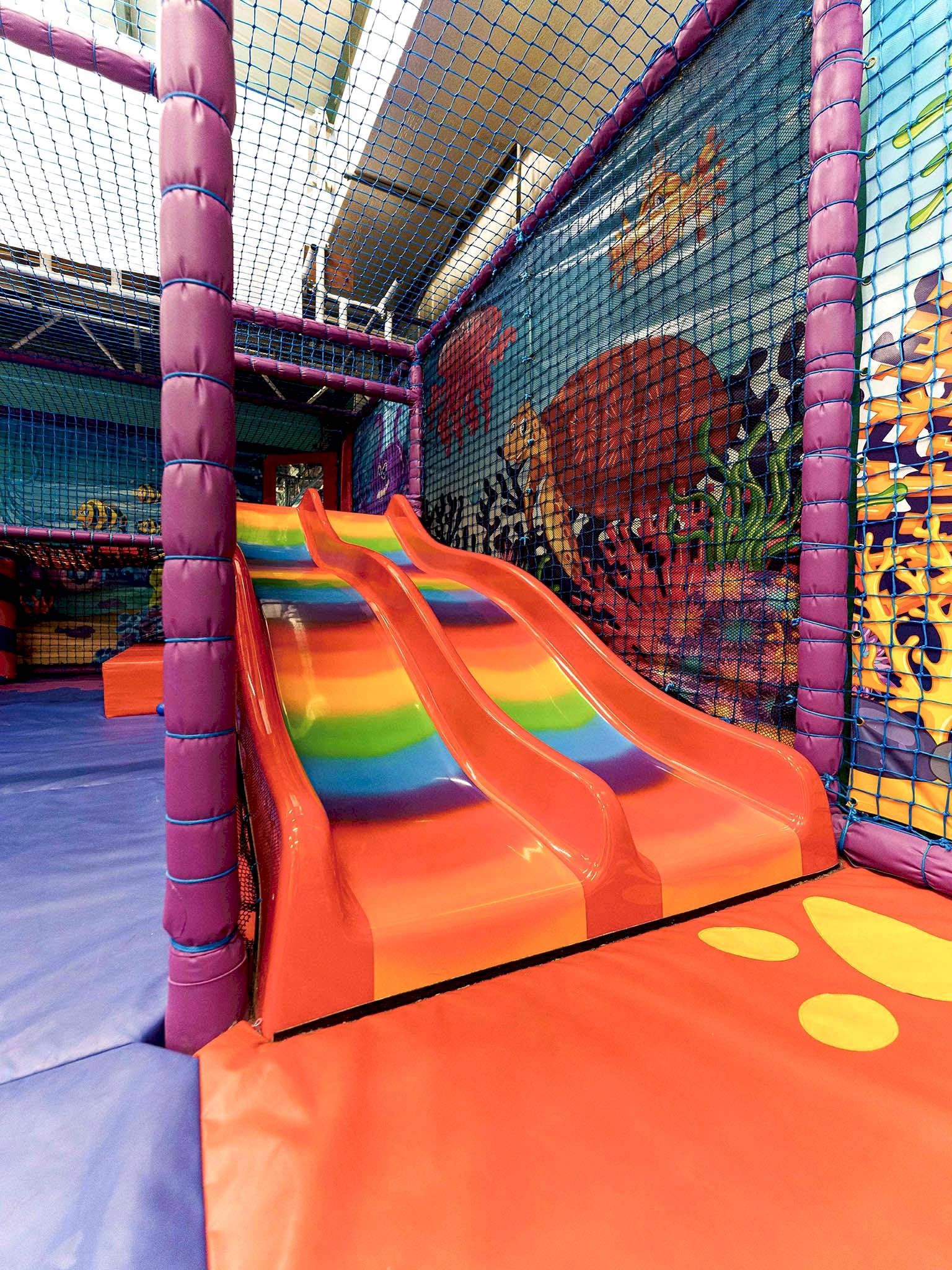 Dolphin Swim -65_1536x2048