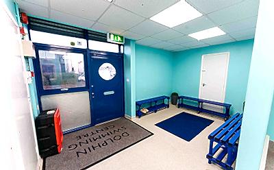 Dolphin Swim -7_400x248